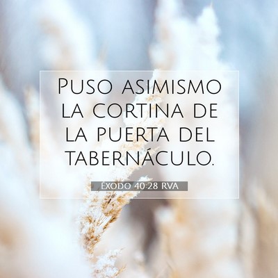 Picture 07 - Éxodo 40:28 RVA - Puso asimismo la cortina de la puerta del - Bible Verse Picture