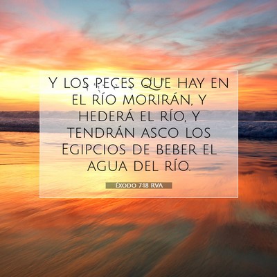 Picture 07 - Éxodo 7:18 RVA - Y los peces que hay en el río morirán, y - Bible Verse Picture