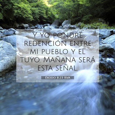 Picture 07 - Éxodo 8:23 RVA - Y yo pondré redención entre mi pueblo y el - Bible Verse Picture