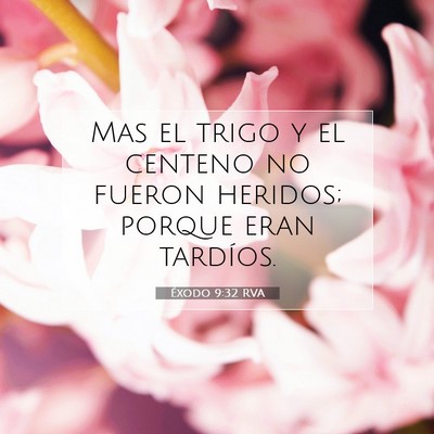Picture 07 - Éxodo 9:32 RVA - Mas el trigo y el centeno no fueron heridos; - Bible Verse Picture