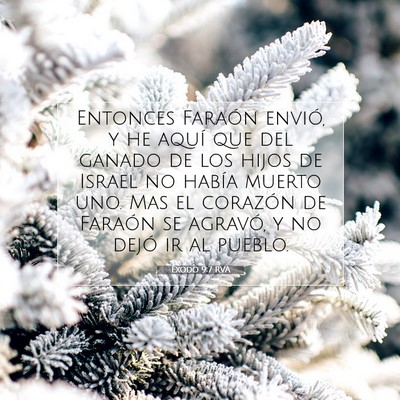 Picture 07 - Éxodo 9:7 RVA - Entonces Faraón envió, y he aquí que del - Bible Verse Picture