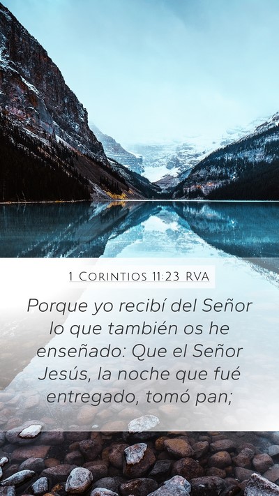 1 Corintios 11:23 RVA Bible Verse Image