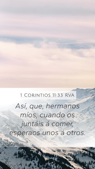 1 Corintios 11:33 RVA Mobile Phone Wallpaper - Así, que, hermanos míos, cuando os juntáis á - Mobile Bible Verse Wallpaper