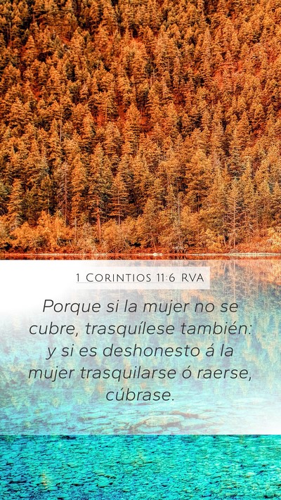 1 Corintios 11:6 RVA Bible Verse Image