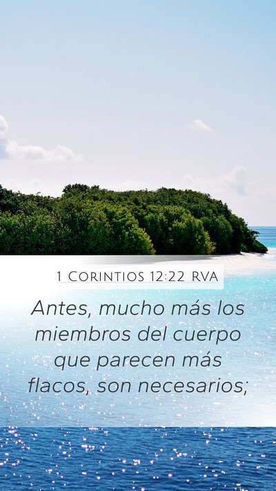 1 Corintios 12:22 RVA Bible Verse Image
