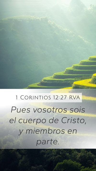 1 Corintios 12:27 RVA Bible Verse Image