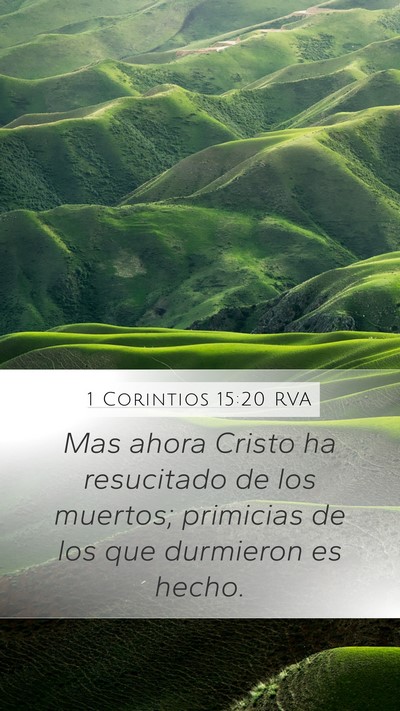 1 Corintios 15:20 RVA Bible Verse Image