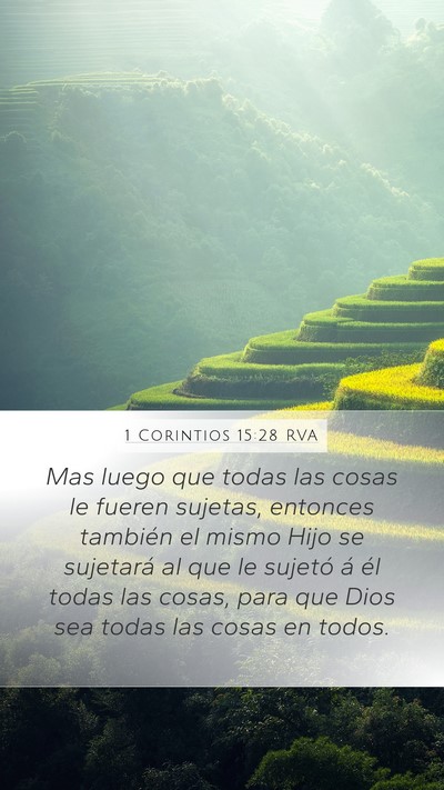 1 Corintios 15:28 RVA Bible Verse Image