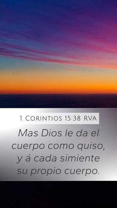 1 Corintios 15:38 RVA Bible Verse Image