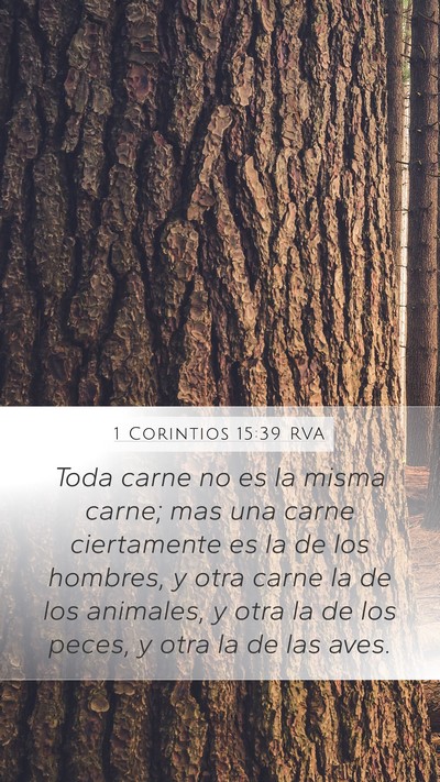 1 Corintios 15:39 RVA Bible Verse Image
