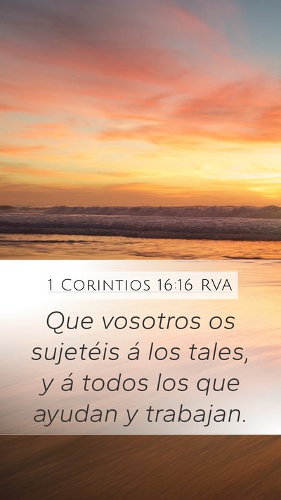 1 Corintios 16:16 RVA Bible Verse Image