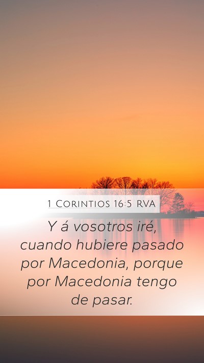 1 Corintios 16:5 RVA Bible Verse Image