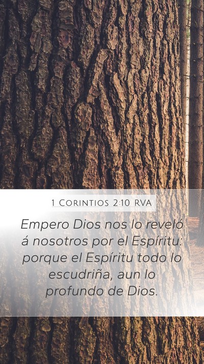 1 Corintios 2:10 RVA Bible Verse Image