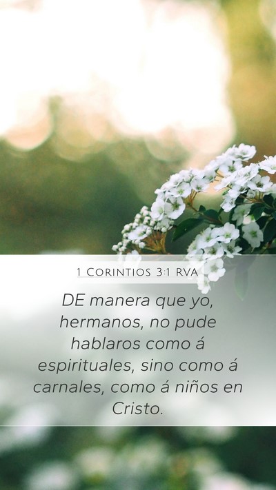 1 Corintios 3:1 RVA Bible Verse Image