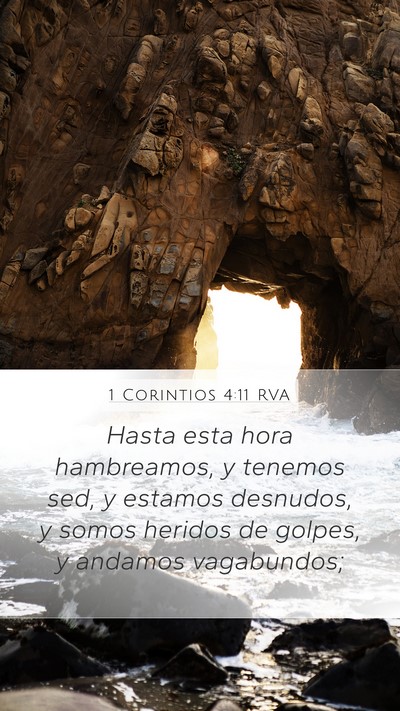 1 Corintios 4:11 RVA Bible Verse Image