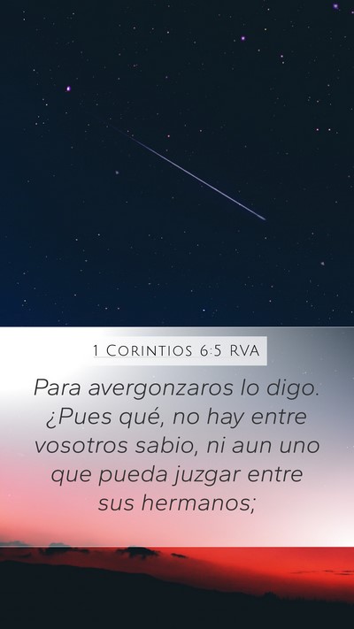 1 Corintios 6:5 RVA Bible Verse Image