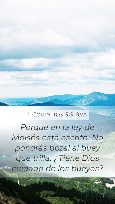 1 Corintios 9:9 RVA Bible Verse Image