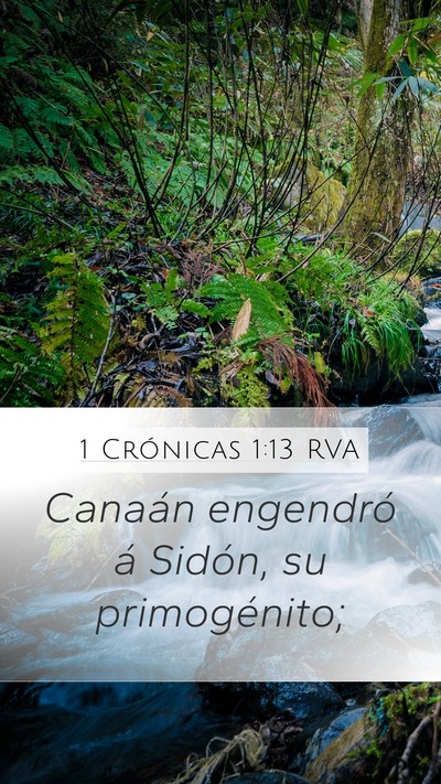 1 Crónicas 1:13 RVA Bible Verse Image