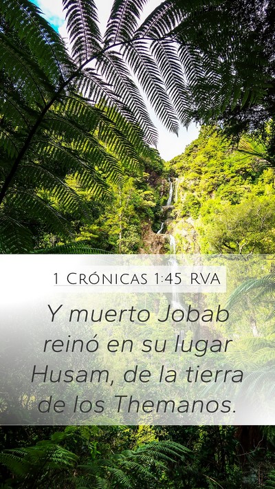 1 Crónicas 1:45 RVA Bible Verse Image
