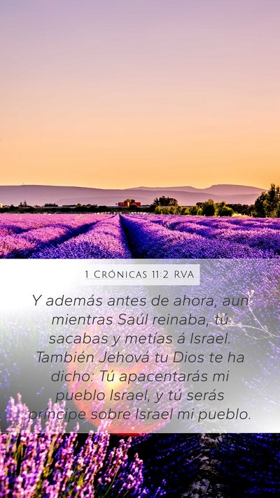1 Crónicas 11:2 RVA Bible Verse Image