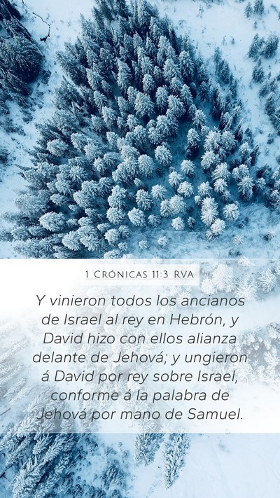 1 Crónicas 11:3 RVA Bible Verse Image