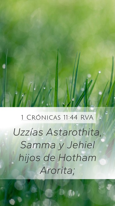 1 Crónicas 11:44 RVA Mobile Phone Wallpaper - Uzzías Astarothita, Samma y Jehiel hijos de - Mobile Bible Verse Wallpaper