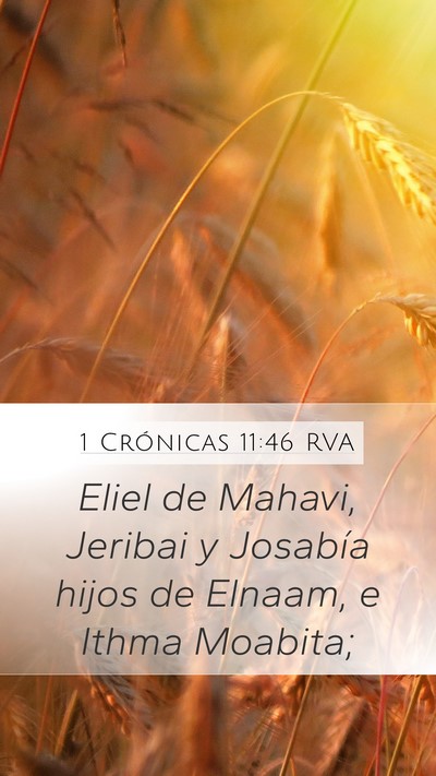 1 Crónicas 11:46 RVA Mobile Phone Wallpaper - Eliel de Mahavi, Jeribai y Josabía hijos de - Mobile Bible Verse Wallpaper