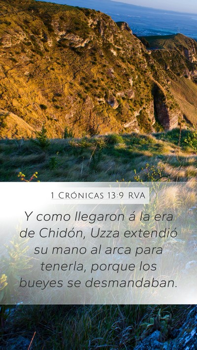 1 Crónicas 13:9 RVA Bible Verse Image