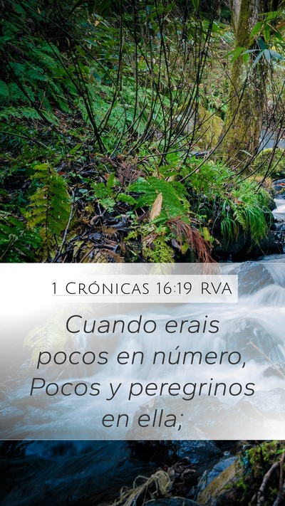 1 Crónicas 16:19 RVA Mobile Phone Wallpaper - Cuando erais pocos en número, Pocos y peregrinos - Mobile Bible Verse Wallpaper