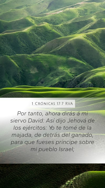 1 Crónicas 17:7 RVA Bible Verse Image