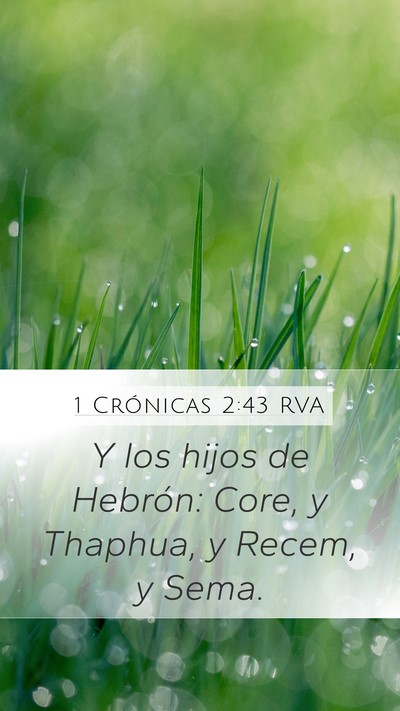 1 Crónicas 2:43 RVA Mobile Phone Wallpaper - Y los hijos de Hebrón: Core, y Thaphua, y Recem, - Mobile Bible Verse Wallpaper