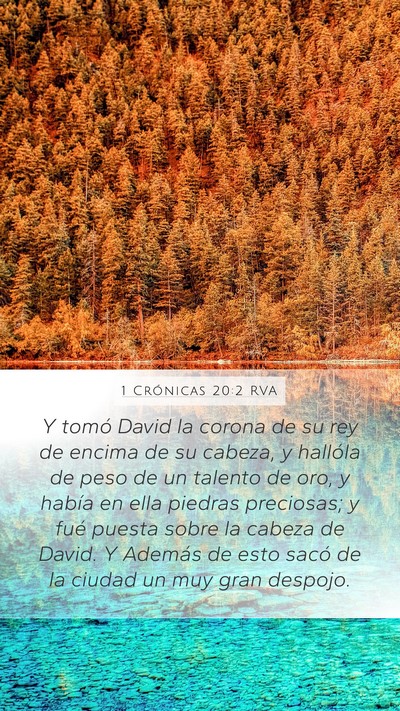 1 Crónicas 20:2 RVA Bible Verse Image
