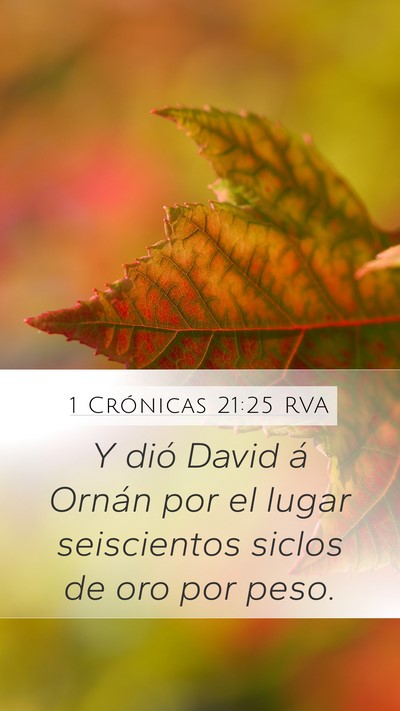 1 Crónicas 21:25 RVA Mobile Phone Wallpaper - Y dió David á Ornán por el lugar seiscientos - Mobile Bible Verse Wallpaper