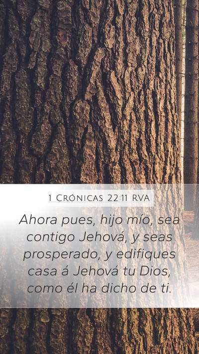 1 Crónicas 22:11 RVA Bible Verse Image