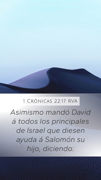 1 Crónicas 22:17 RVA Bible Verse Image