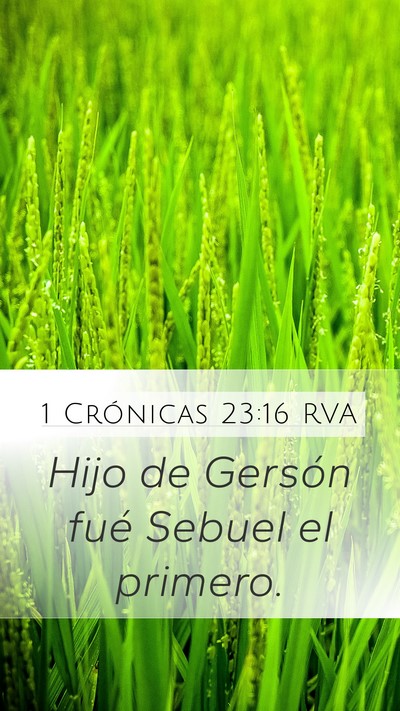 1 Crónicas 23:16 RVA Mobile Phone Wallpaper - Hijo de Gersón fué Sebuel el - Mobile Bible Verse Wallpaper