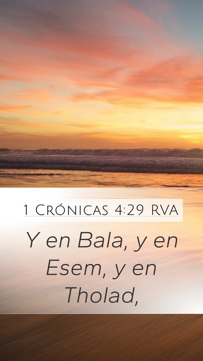 1 Crónicas 4:29 RVA Bible Verse Image