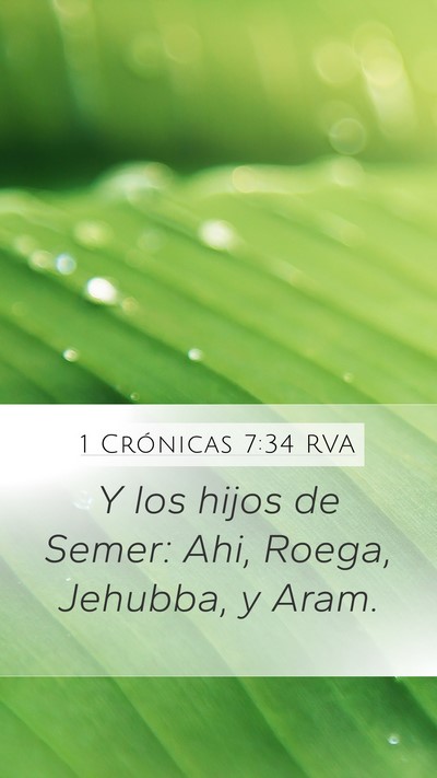 1 Crónicas 7:34 RVA Mobile Phone Wallpaper - Y los hijos de Semer: Ahi, Roega, Jehubba, y - Mobile Bible Verse Wallpaper
