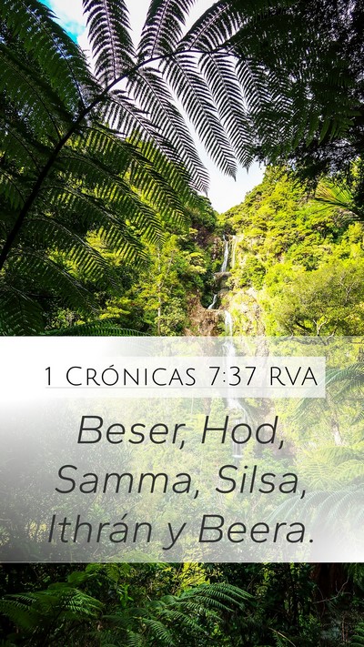 1 Crónicas 7:37 RVA Mobile Phone Wallpaper - Beser, Hod, Samma, Silsa, Ithrán y - Mobile Bible Verse Wallpaper