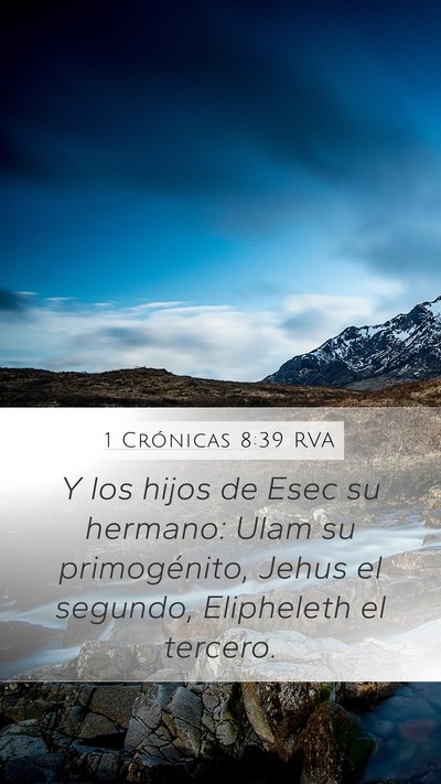 1 Crónicas 8:39 RVA Mobile Phone Wallpaper - Y los hijos de Esec su hermano: Ulam su - Mobile Bible Verse Wallpaper