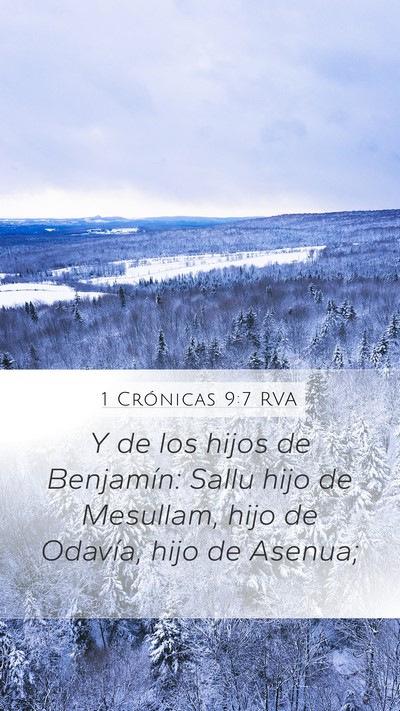 1 Crónicas 9:7 RVA Mobile Phone Wallpaper - Y de los hijos de Benjamín: Sallu hijo de - Mobile Bible Verse Wallpaper