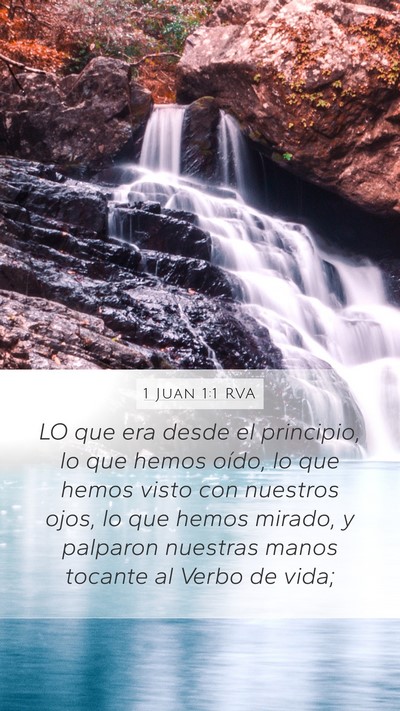 1 Juan 1:1 RVA Mobile Phone Wallpaper - LO que era desde el principio, lo que hemos - Mobile Bible Verse Wallpaper