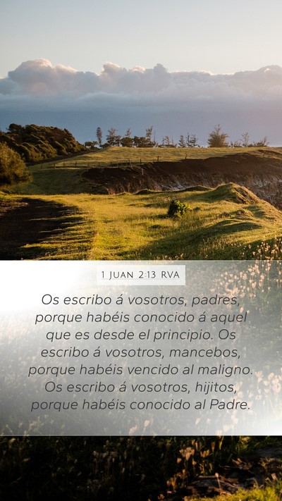 1 Juan 2:13 RVA Bible Verse Image