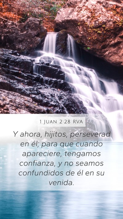 1 Juan 2:28 RVA Bible Verse Image
