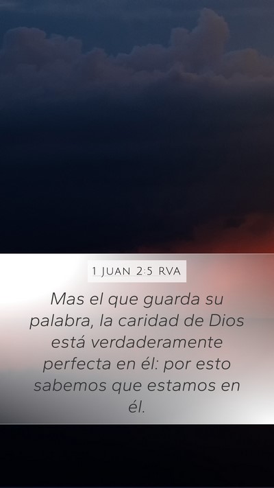 1 Juan 2:5 RVA Bible Verse Image