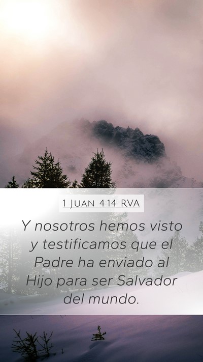 1 Juan 4:14 RVA Bible Verse Image