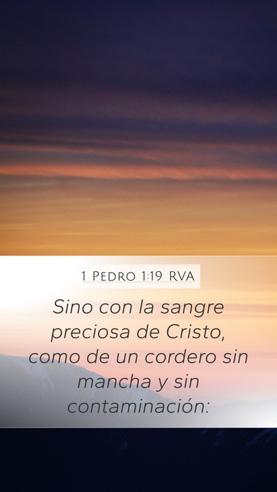 1 Pedro 1:19 RVA Bible Verse Image