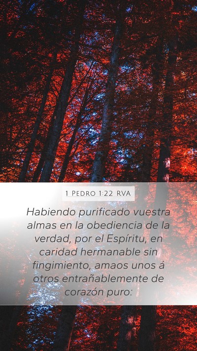 1 Pedro 1:22 RVA Bible Verse Image