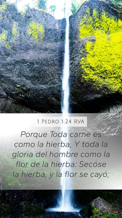 1 Pedro 1:24 RVA Bible Verse Image