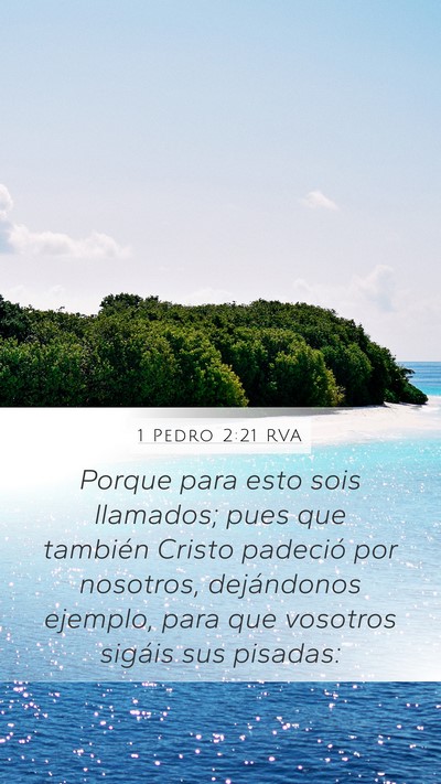 1 Pedro 2:21 RVA Bible Verse Image